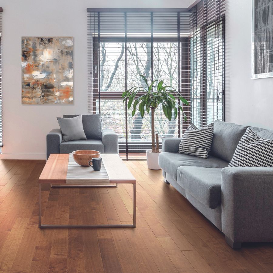 Blinds in a living room